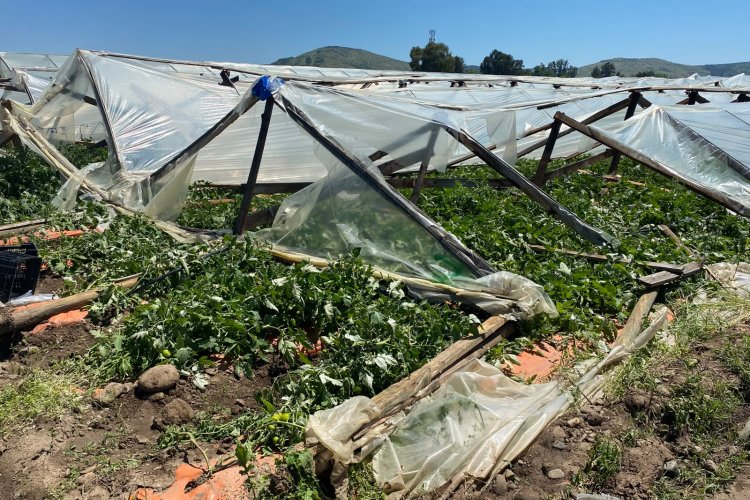 INDAP despliega operativo en terreno en la Región del Maule para evaluar daños por temporal y coordinar medidas de apoyo a agricultores
