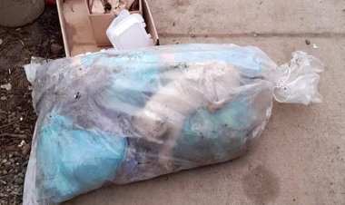Repudio generalizado por caso de gatito vivo que fue dejado en una bolsa de basura en Linares