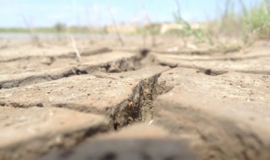 Cambio climático: es necesario perfeccionar la legislación chilena