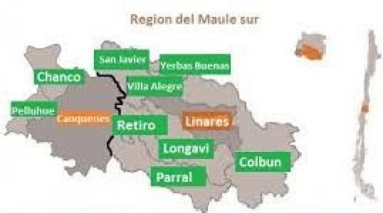Chile Podemos llevaría cinco candidatos a diputados en el Maule sur