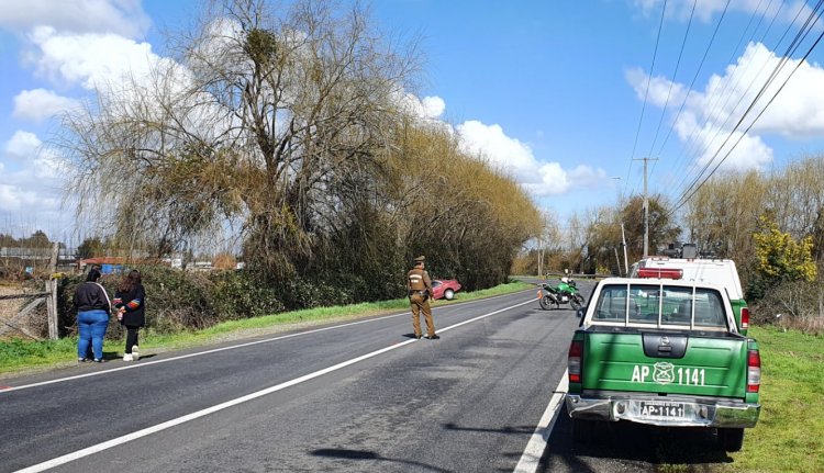 Ciclista muere en la ruta que une Linares con Yerbas Buenas