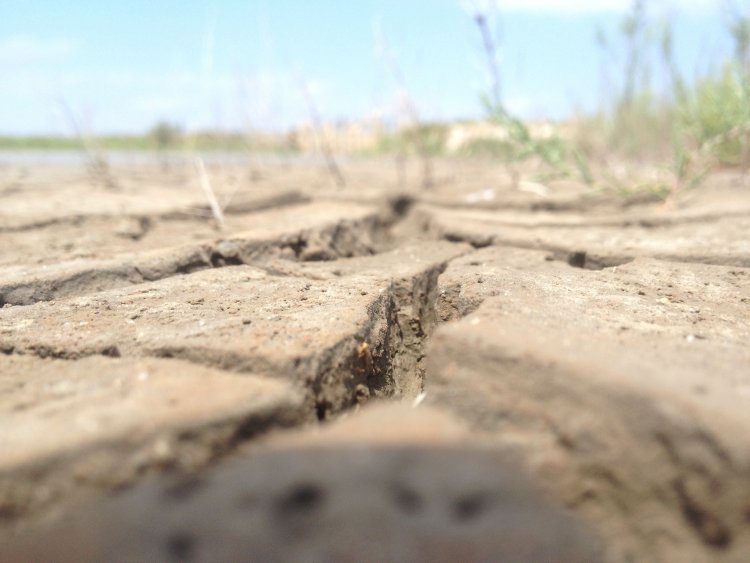 Cambio climático: es necesario perfeccionar la legislación chilena