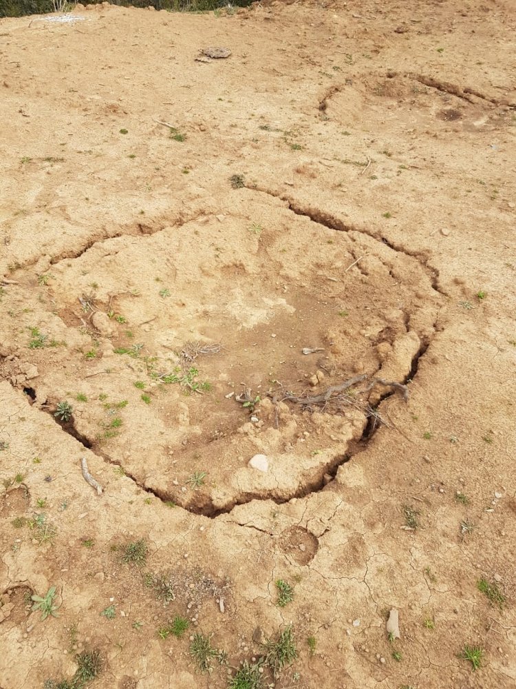 Ambientalistas denuncian vertido de residuos orgánicos y basura al interior del sector Bello Horizonte en el Valle del Ancoa de Linares