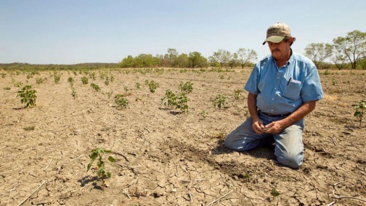 Ministerio de Agricultura decreta zona de emergencia agrícola en cuatro regiones del país