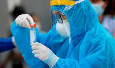Seremi de Salud confirma presencia de la variante Mu del Covid-19 en 11 pacientes del Maule