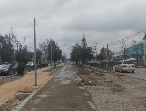 (AUDIO) Lento avance presentan las obras de mejoramiento del bandejón central de la avenida Aníbal León Bustos de Linares