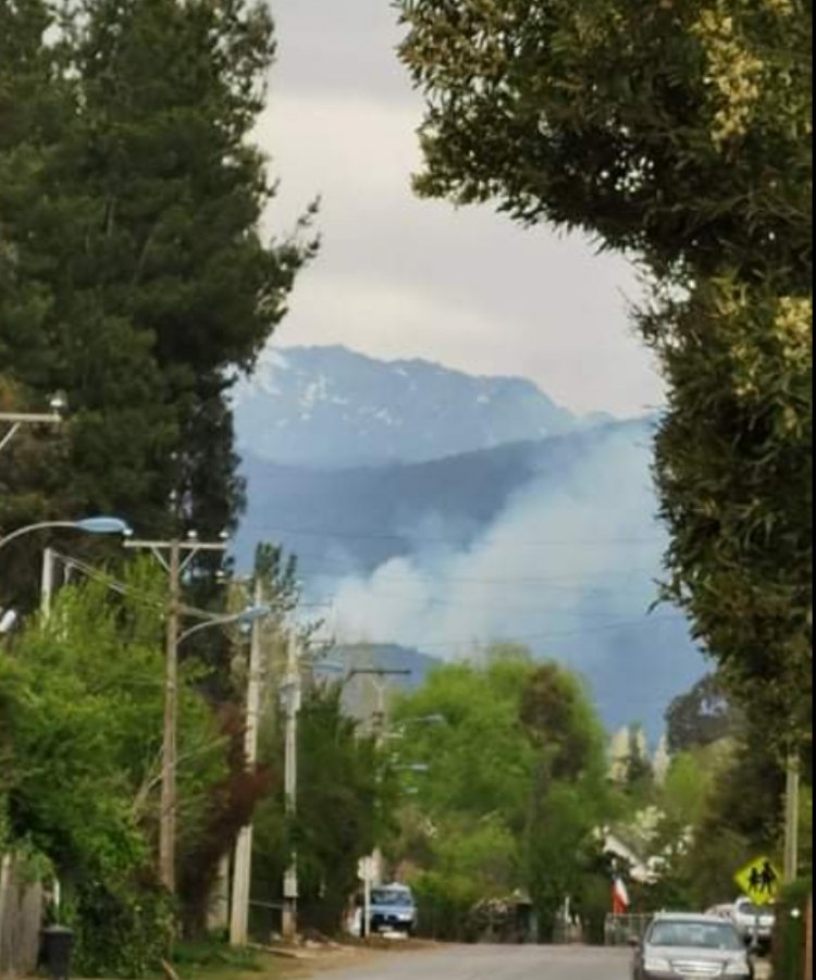 ÚltimaHora: nuevo incendio en la zona alta del Polígono de Tiro “José María Bari” en la montaña de Colbún