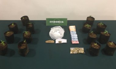 Dos mujeres y hombre detenidos por infracción a la Ley de Drogas en Colbún