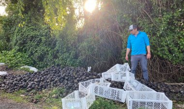 De la denuncia a la acción ambiental