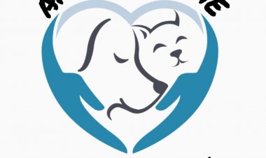 (AUDIO) “Animal Home” rechaza encuentro por las tradiciones chilenas en Longaví