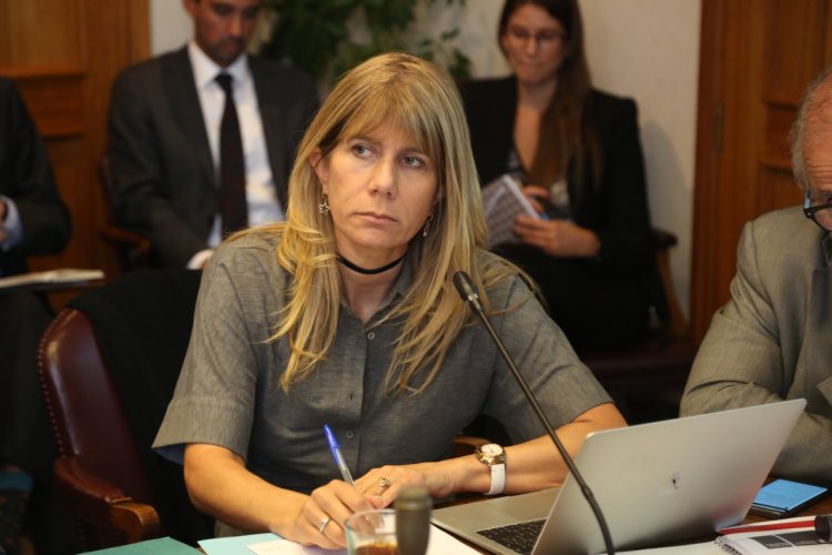 Presidenta del Senado anuncia proyecto para eliminar prácticas contra libre competencia en mercado del gas