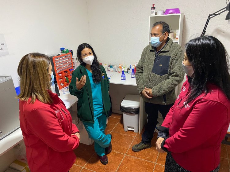 Longaví: clínica veterinaria ha contratado 10 trabajadores con subsidio SENCE