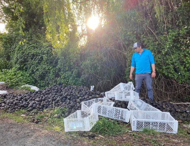 De la denuncia a la acción ambiental