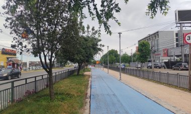 (AUDIO) Obras en el bandejón de la avenida Aníbal León Bustos: no hay bebederos y rejas están destruidas por accidentes de tránsito