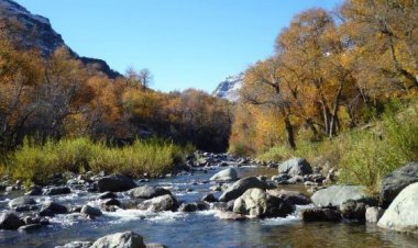 (AUDIO) Proyectan récord de visitas en la zona de Achibueno y Ancoa para la temporada estival 2021-2022