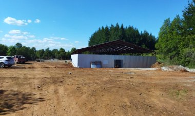 Informe de concejales e inspección sanitaria revela graves problemas en nueva perrera municipal de Linares