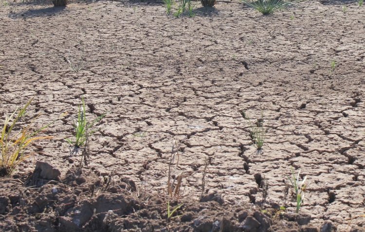 Un verano caluroso y seco en la zona central marca el regreso de “La Niña”