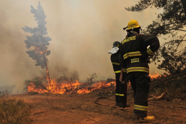 Autoridades anunciaron prohibición de quemas agrícolas y forestales en toda la Región del Maule
