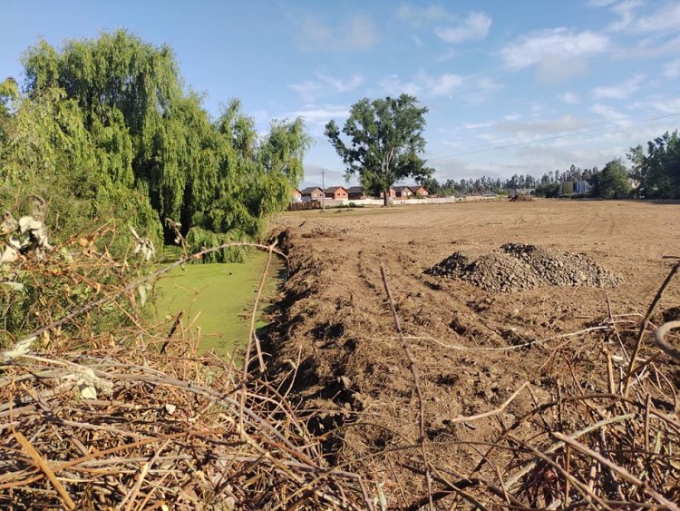 “Linares Verde” critica accionar municipal frente a la desprotección del humedal urbano “Ayüwün”