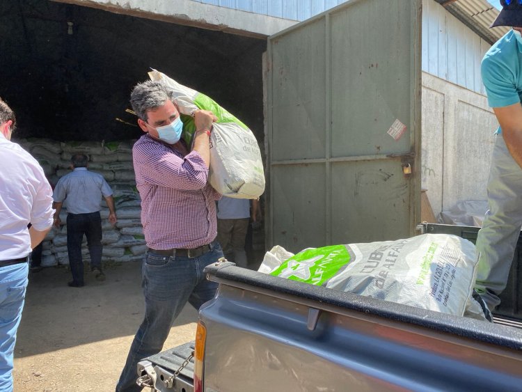 Más de 100 toneladas de cubos de alfalfa entregó el Gobierno a agricultores de Linares y Retiro afectados por la escasez hídrica
