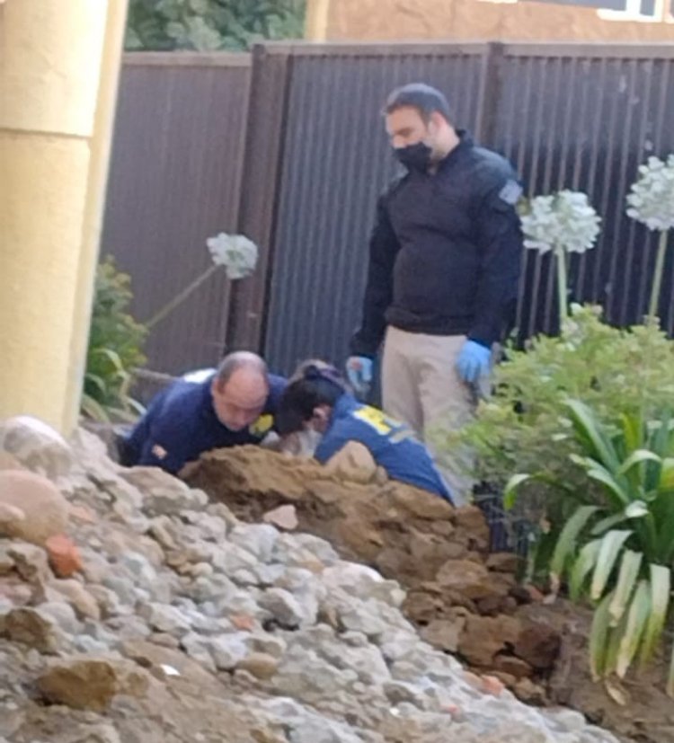 Investigan hallazgo de osamentas aparentemente humanas frente a la Plaza de Armas de Linares