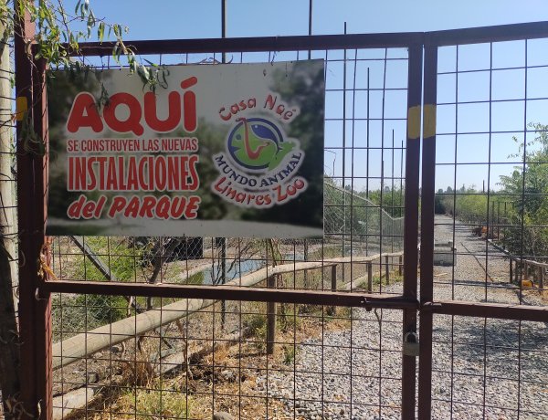 (AUDIO) Casa Noé, Mundo Animal de Linares construye baños inclusivos y comienzan trabajos de ampliación