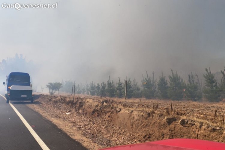 Dos casas destruidas y 1 200 hectáreas arrasadas por el fuego es el balance de incendio forestal en Cauquenes