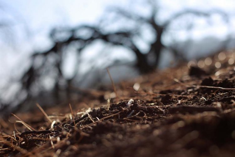 Gobernadora Regional del Maule denuncia los graves efectos en el desarrollo económico que está generando la la falta de agua