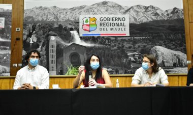 Aprueban nuevo fondo para adquisición de medicamentos para los 30 municipios del Maule