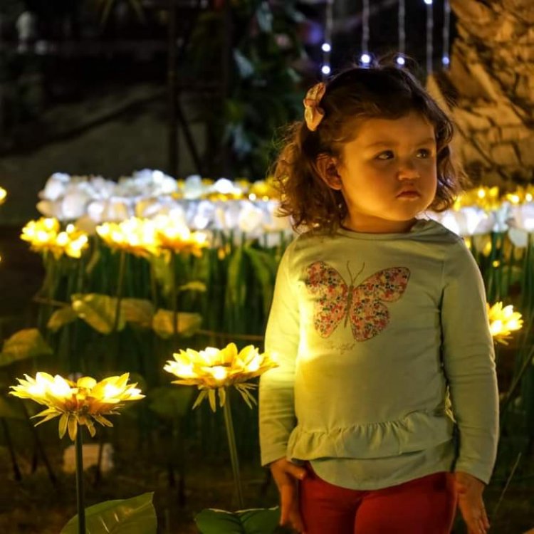 Parque Iluminado llega al Maule