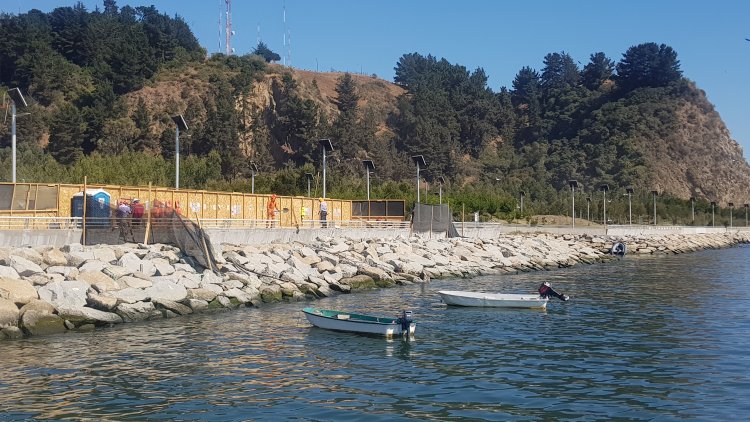 Dirección de Obras Portuarias del MOP construye muelle para canoístas del río Maule en Constitución