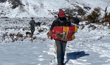 Alerta: incertidumbre por situación de arrieros en la zona de la Alta Montaña de Linares