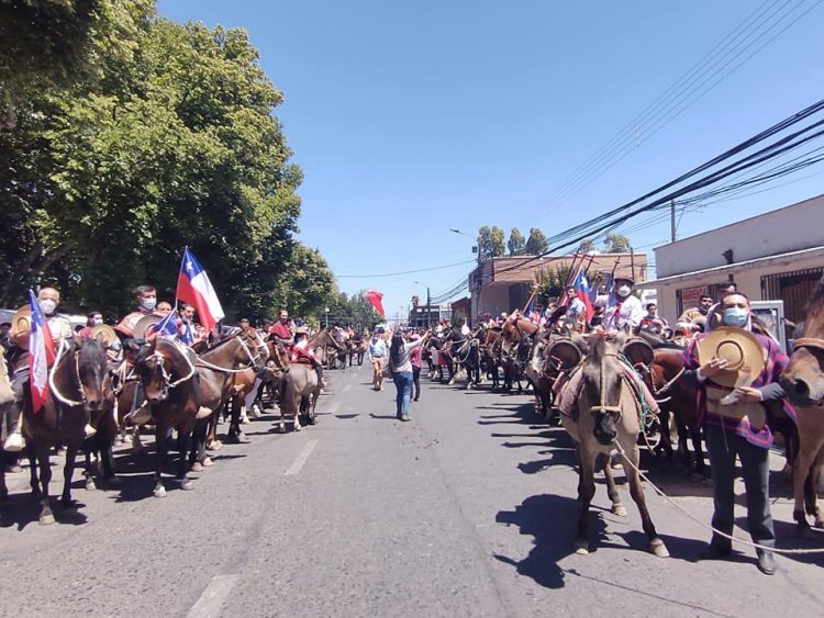 Diputado Benavente celebra aprobación de proyecto de su autoría que defiende  las costumbres y tradiciones chilenas