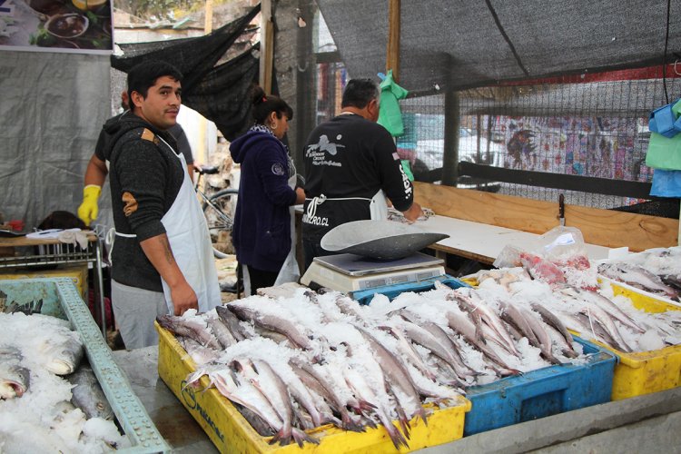 Experta explica consideraciones que se deben tener ante el consumo de pescados y mariscos