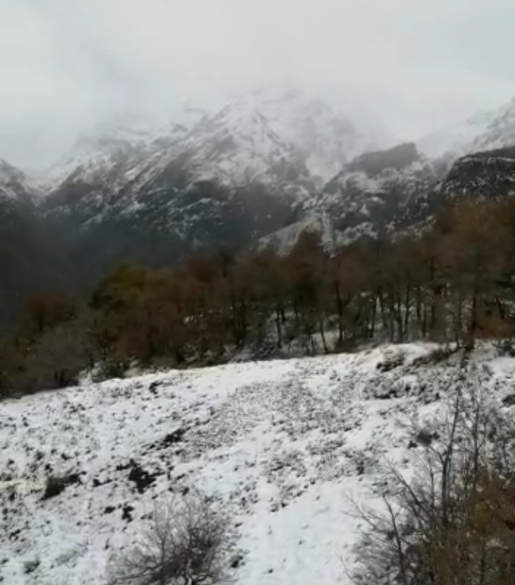 Nevazones y crecidas de ríos mantienen aislados a un grupo de arrieros al interior del Santuario de la Naturaleza Achibueno de Linares