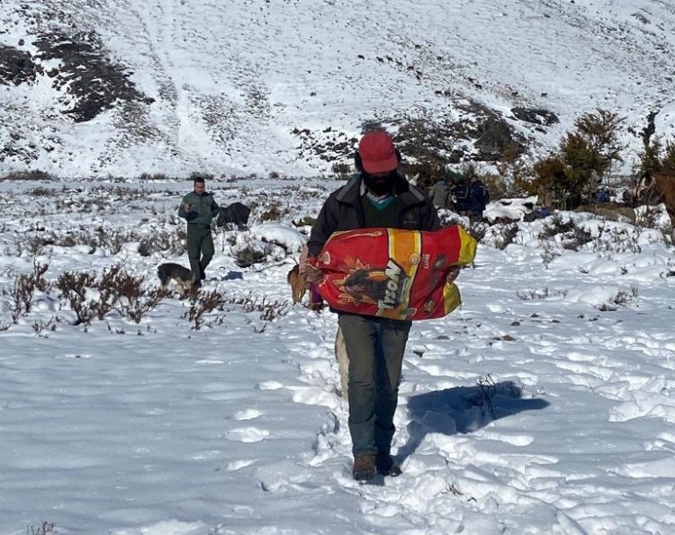 Alerta: incertidumbre por situación de arrieros en la zona de la Alta Montaña de Linares