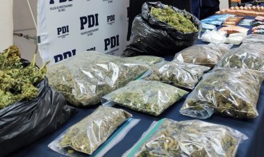 Más de 150 detectives participaron en allanamientos antidrogas en Parral