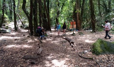 Fundación Altué de Linares: impulsando la conservación y protección del “Belloto del Sur”