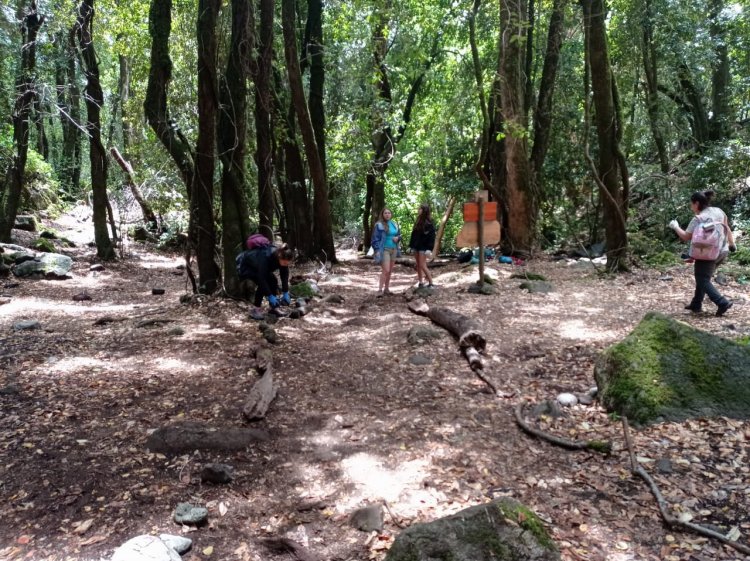 Fundación Altué de Linares: impulsando la conservación y protección del “Belloto del Sur”