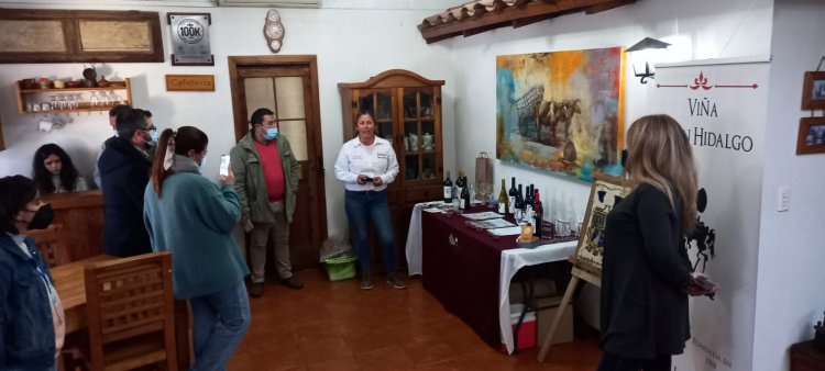 Pymes vitivinícolas de Cauquenes exhibieron la identidad histórica y patrimonial de sus vinos a los linarenses