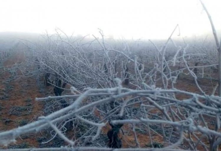 Invierno 2022: expertos proyectan heladas de hasta -7°C en el valle central