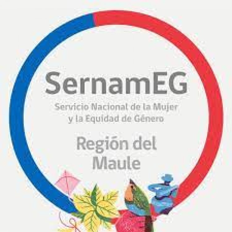 Declaración pública SernamEG Región del Maule por denuncia de usuaria contra Casa de Acogida para víctimas de Violencia Intrafamiliar en Linares