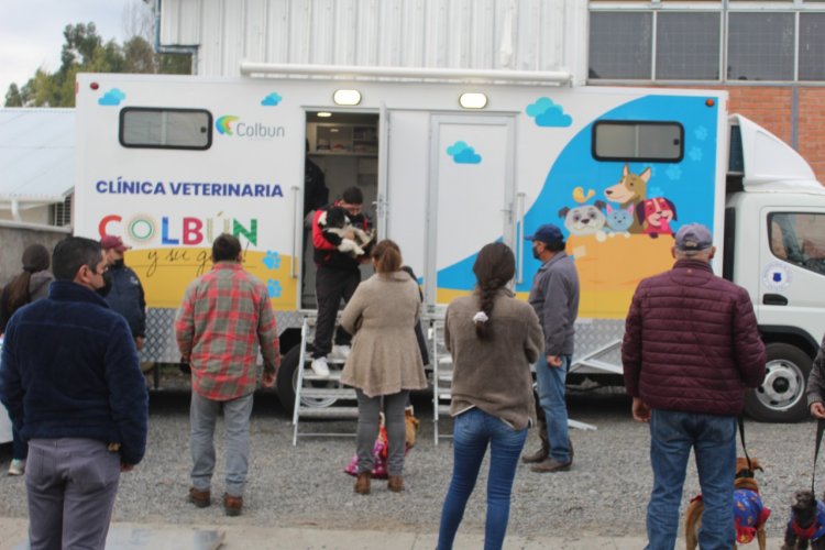 Colbún: comenzó el trabajo de la Clínica Médico Veterinaria Móvil