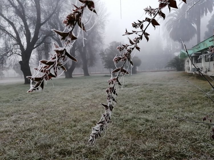 Lluvias y frío de junio no significan vuelta a normalidad climática advierte investigador INIA