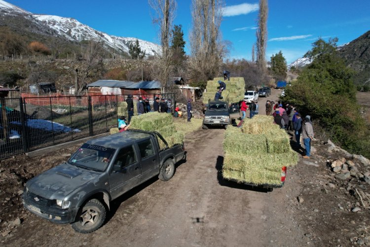 Municipio realizó operativo relámpago en la zona de Melado al interior de Colbún