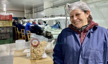 FIA abre convocatoria al Premio Nacional de la Mujer Innovadora en Agricultura