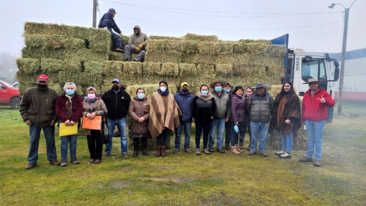 Municipalidad de Colbún finalizó entrega de fardos 2022