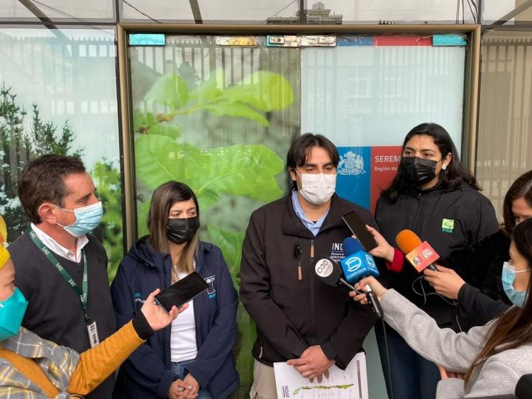 Indap y Seremi del Agro iniciarán entrega de fertilizantes a pequeños productores del Maule