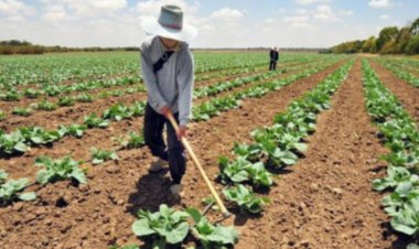 UNAF e INDAP organizan seminario internacional sobre cooperativismo en Linares