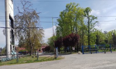 Las claves de la histórica consulta ciudadana por la compra de los terrenos Iansa Linares